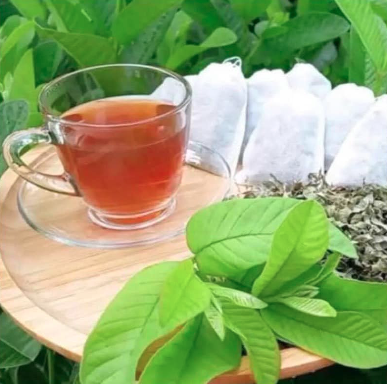 Trà Lá Ổi Giảm Cân | Guava Leaves Diet Tea 150g (10 Túi Lọc)