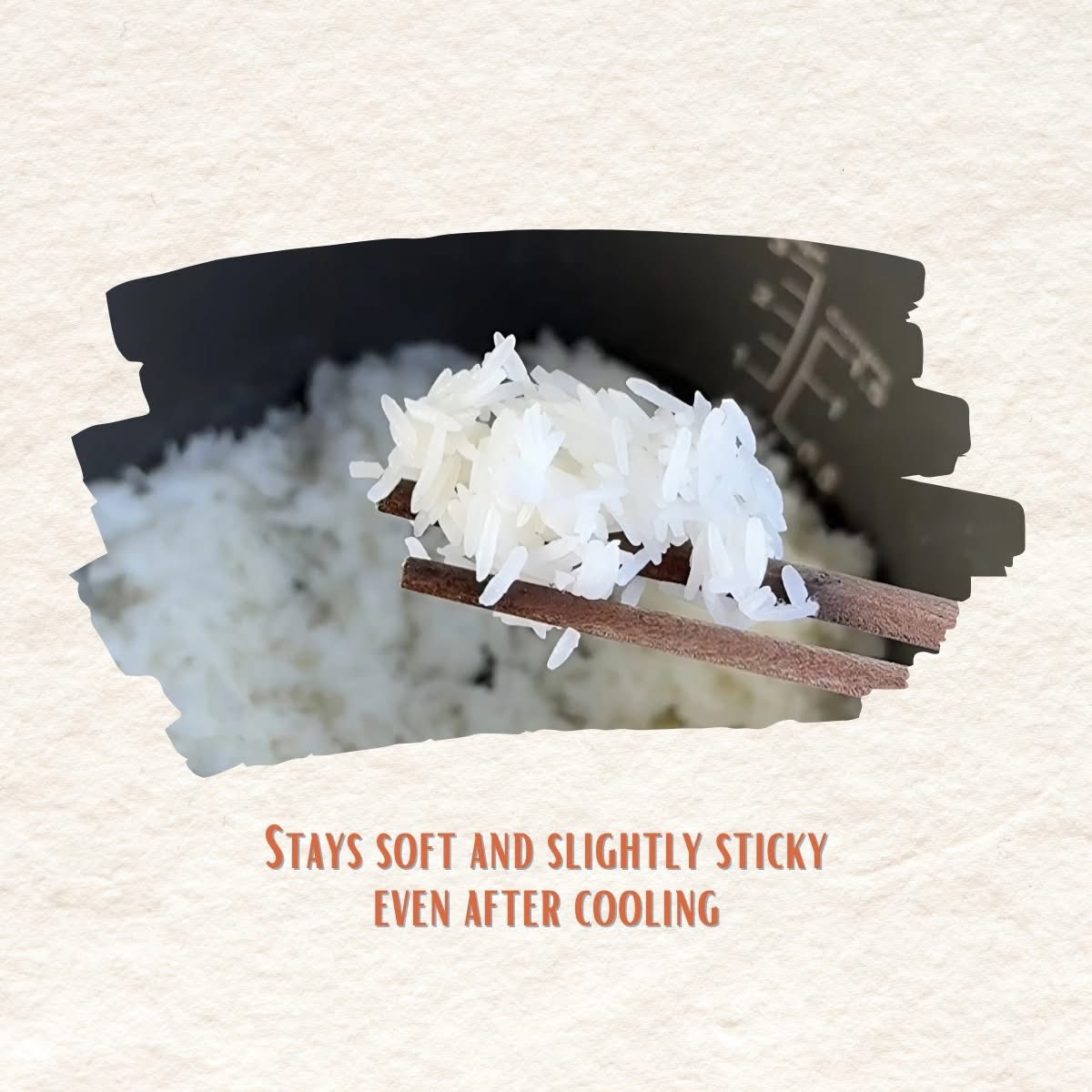Gạo Thơm ST25 | ST25 Fragrant Rice