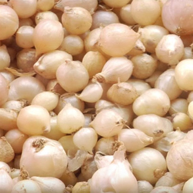 Củ Nén Đông Lạnh | Frozen Wild Chives