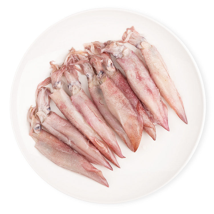 Mực Ống Câu Indo (lb)  | Frozen Indonesian Squid