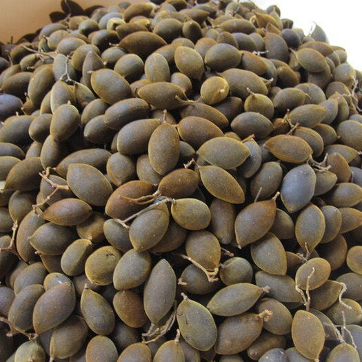 Trái Say Nhung | Velvet Tamarind 225g