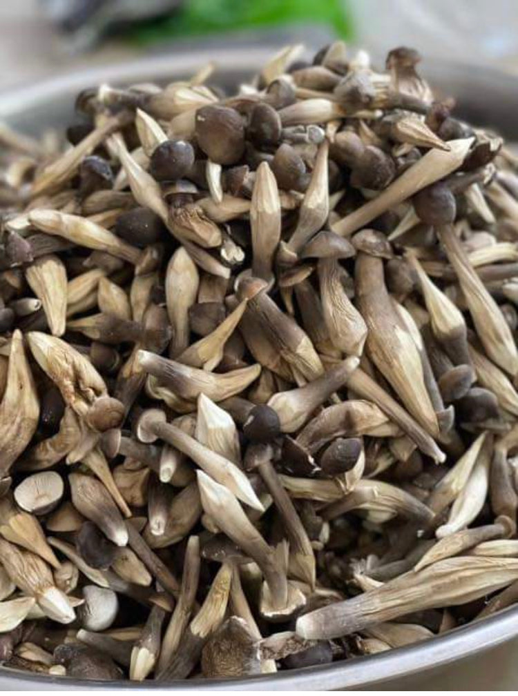 Nấm Mối Sấy Lạnh | Freeze Dried Black Termitomyces Heim 50g