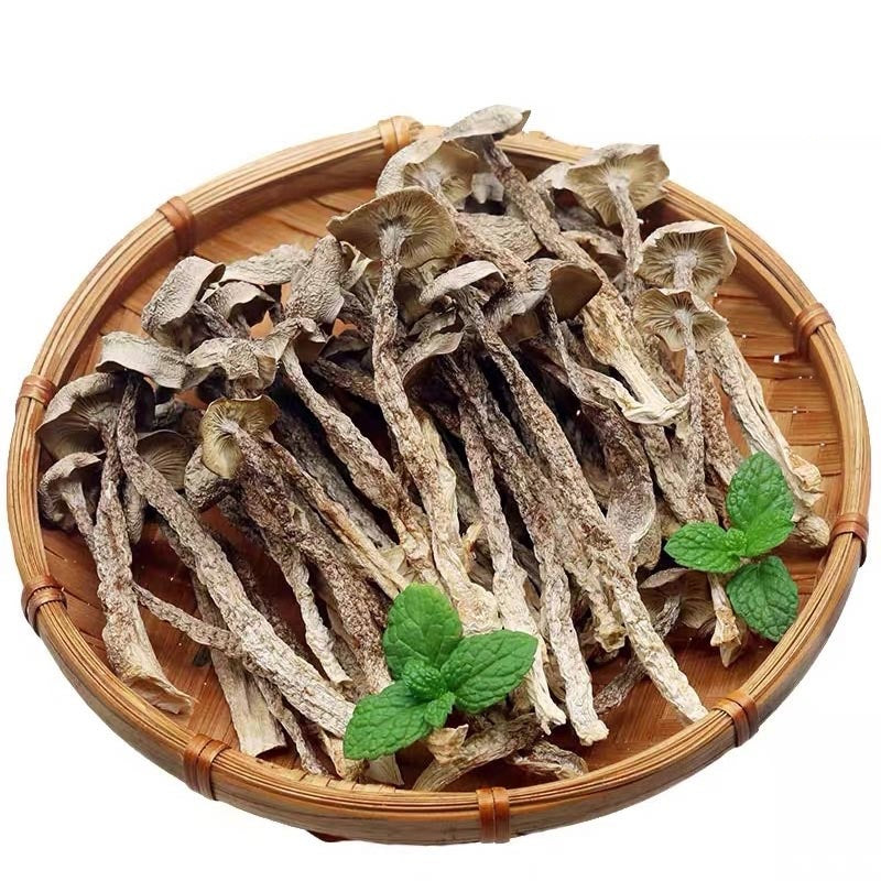 Nấm Lộc Nhung Khô | Dried Pilose Antler Mushroom