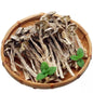 Nấm Lộc Nhung Khô | Dried Pilose Antler Mushroom