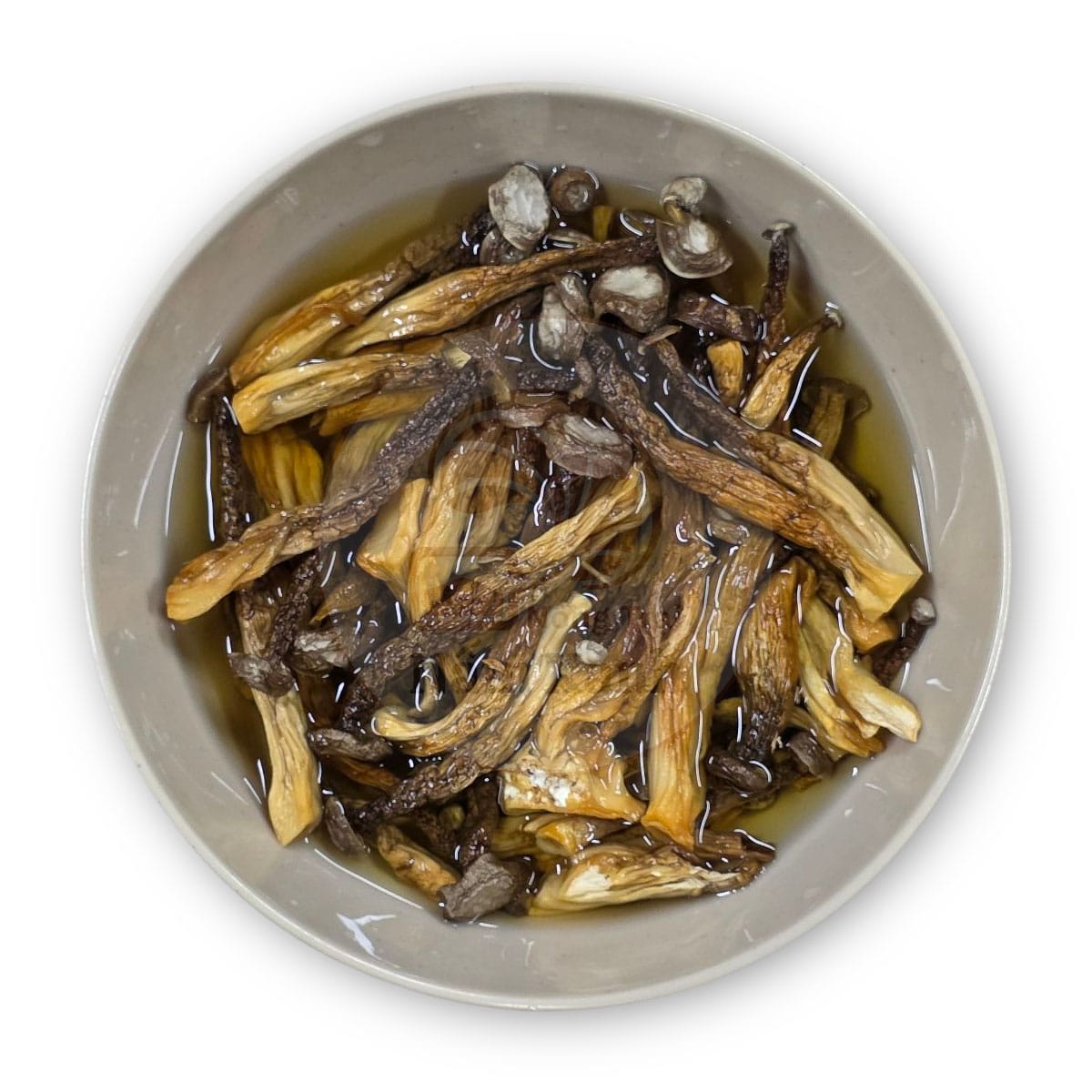 Nấm Lộc Nhung Khô | Dried Pilose Antler Mushroom