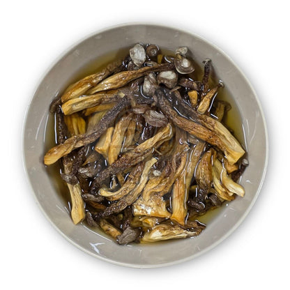 Nấm Lộc Nhung Khô | Dried Pilose Antler Mushroom