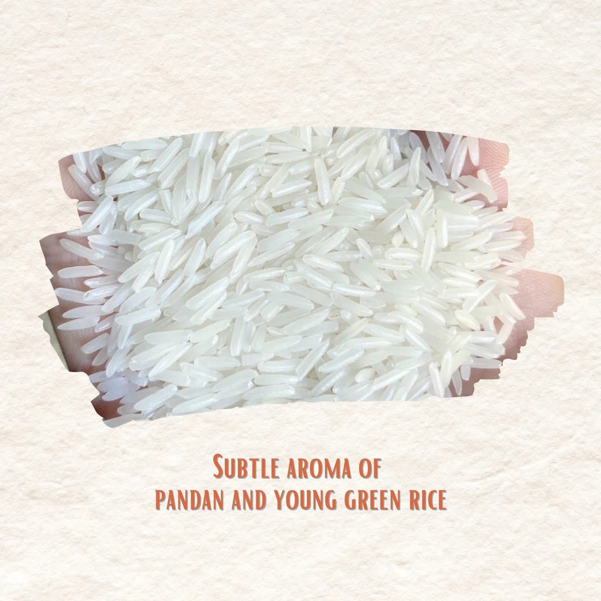 Gạo Thơm ST25 | ST25 Fragrant Rice