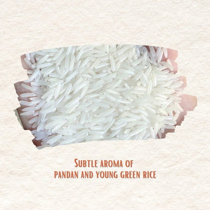 Gạo Thơm ST25 | ST25 Fragrant Rice