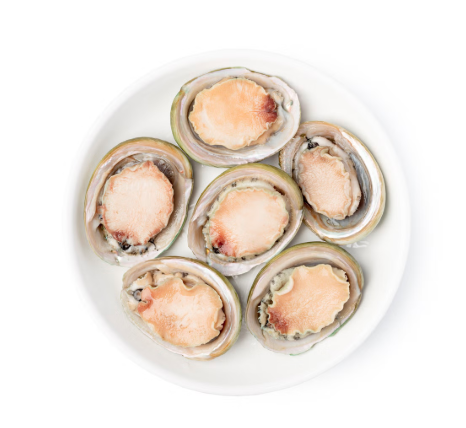 Bào Ngư Viền Xanh Úc | Yumbah Greenlip Abalone 1kg