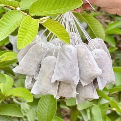 Trà Lá Ổi Giảm Cân | Guava Leaves Diet Tea 150g (10 Túi Lọc)