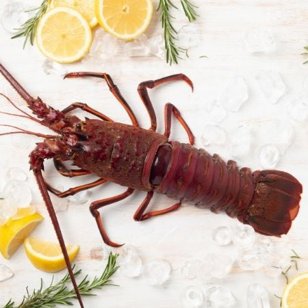 Tôm Hùm Cali (lb) | Cali's Spiny Lobster