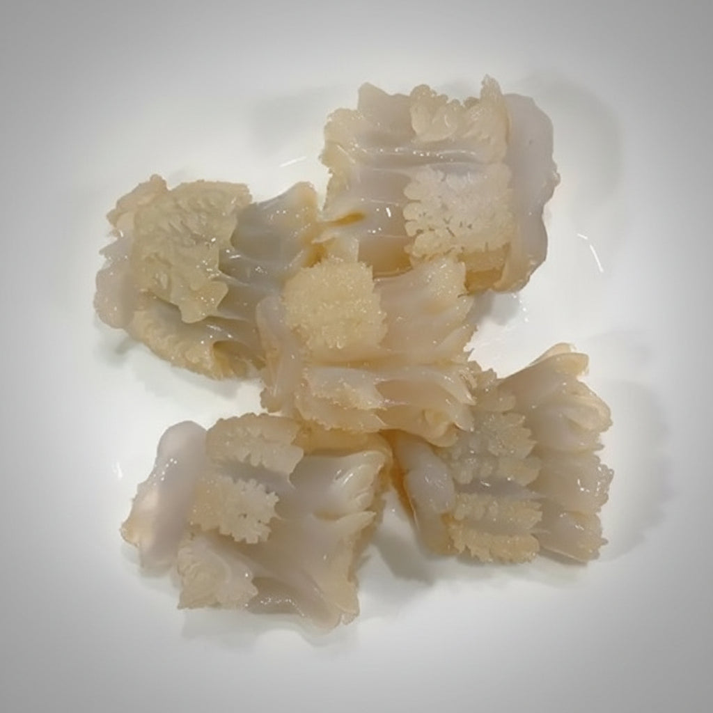 Sứa Đạn | Cannonball Jellyfish 8oz