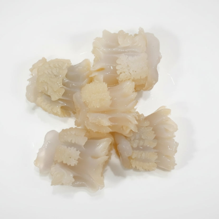 Sứa Đạn | Cannonball Jellyfish 8oz