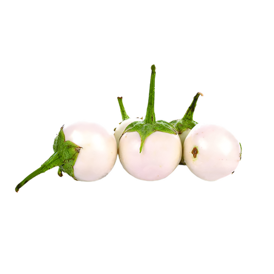 Cà Pháo | White Eggplant