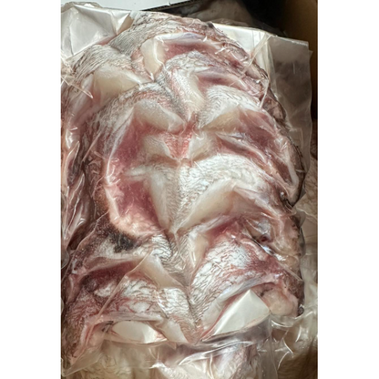 Mang Cá Tráp Đỏ (lb) | Red Sea Bream Collar