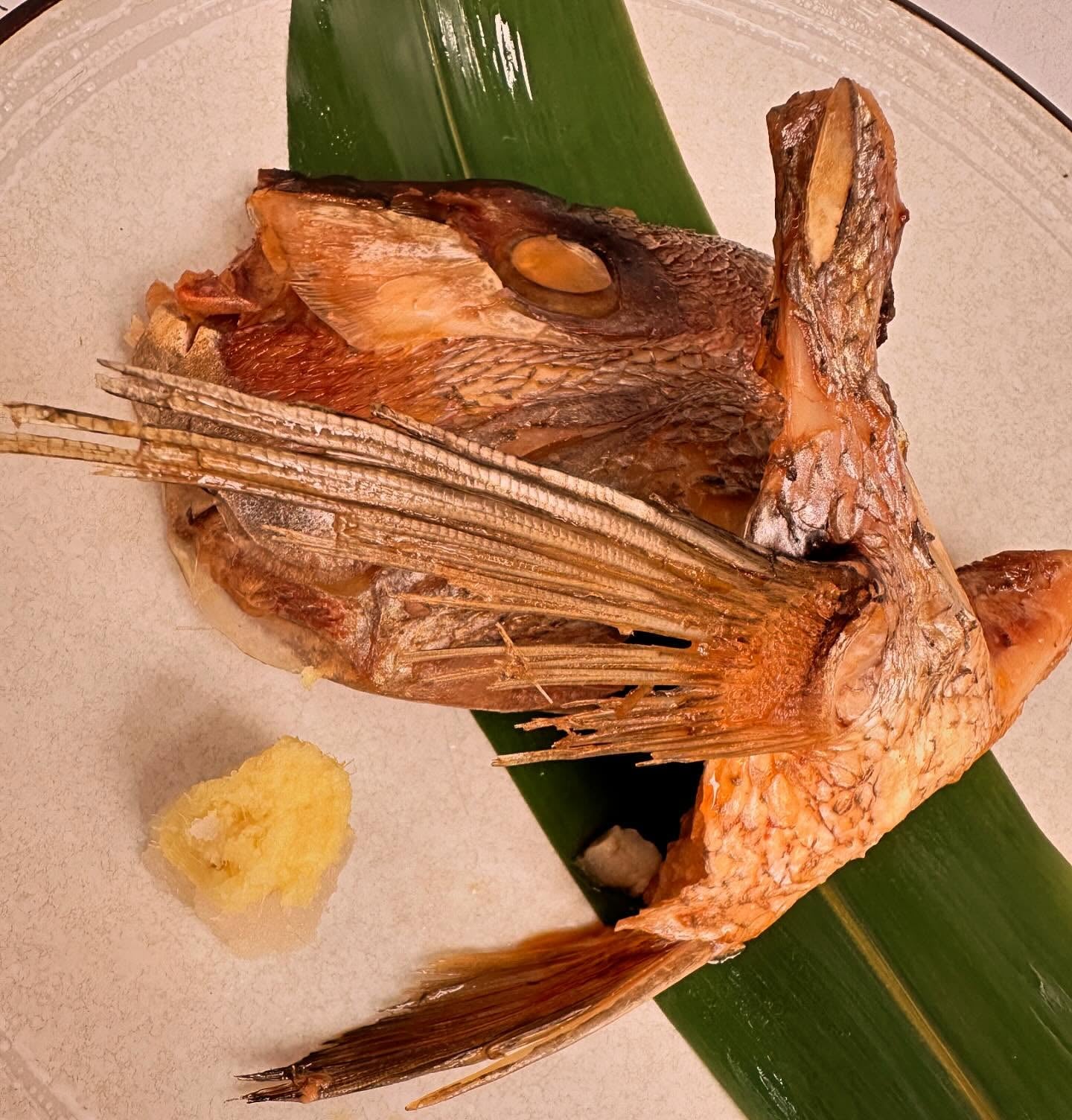 Mang Cá Tráp Đỏ (lb) | Red Sea Bream Collar