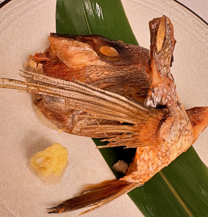 Mang Cá Tráp Đỏ (lb) | Red Sea Bream Collar