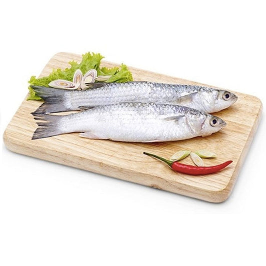 Cá Đối (lb) | Mugilidae