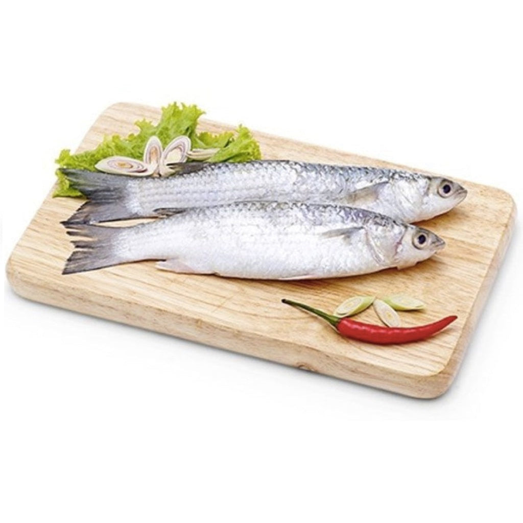 Cá Đối (lb) | Mugilidae