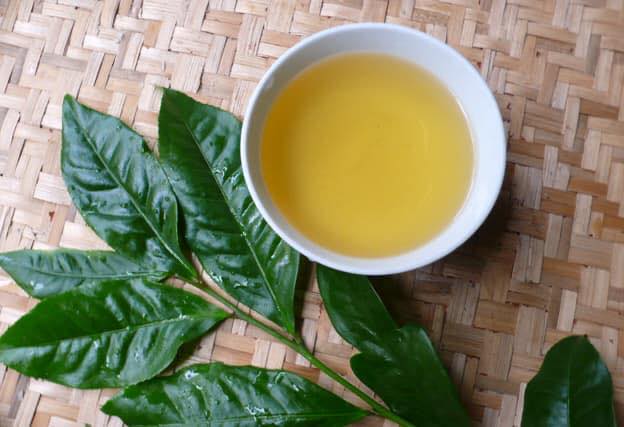 Chè Truồi Ấn Lĩnh | Grreen Tea Bancha 100g