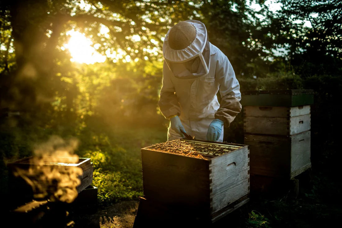 Mật Ong Farm Cali | California Farm Honey 16oz