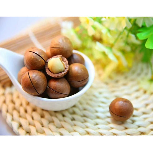 DELIGHT Hạt Macca | Vietnamese Macadamia Nuts
