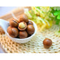 DELIGHT Hạt Macca | Vietnamese Macadamia Nuts