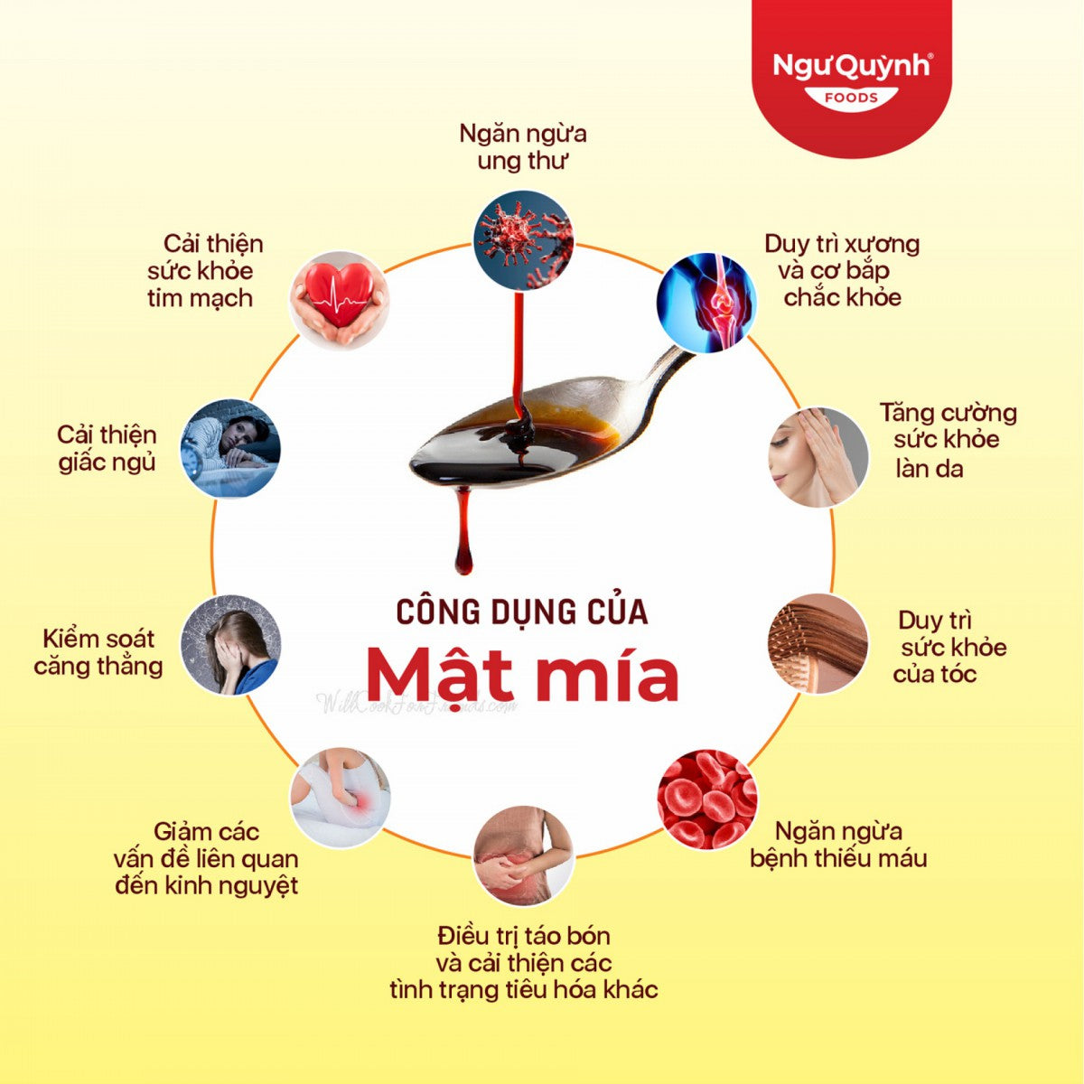 Mật Mía | Molasses 500g