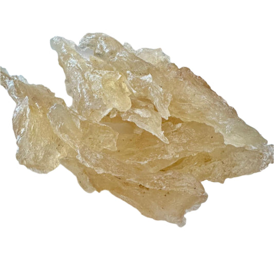 Mủ Trôm | Gum Sterculia