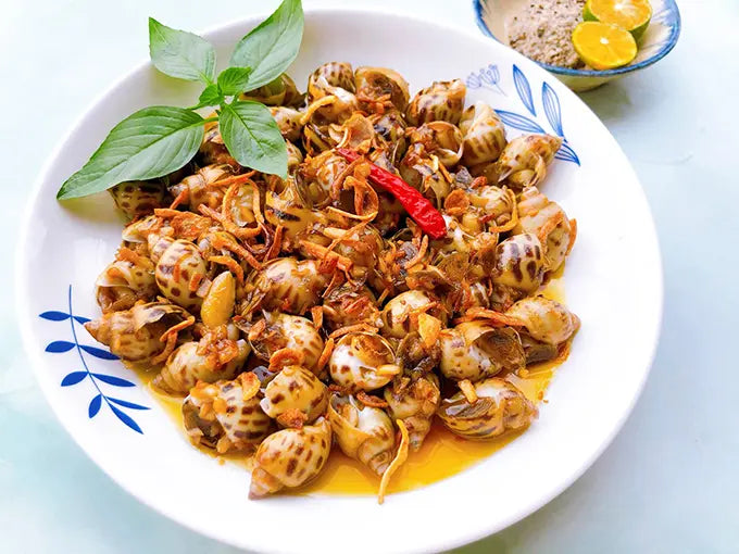 Ốc Hương Việt Nam | FZ Cooked Periwinkle VN 2.2lbs