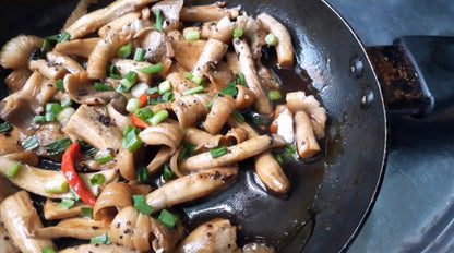 Nấm Mối Sấy Lạnh | Freeze Dried Black Termitomyces Heim 50g