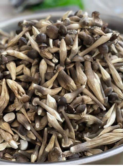 Nấm Mối Sấy Lạnh | Freeze Dried Black Termitomyces Heim 50g