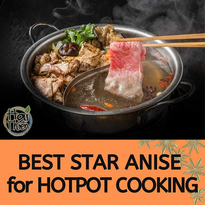 [HT] Hoa Hồi | Star Anise