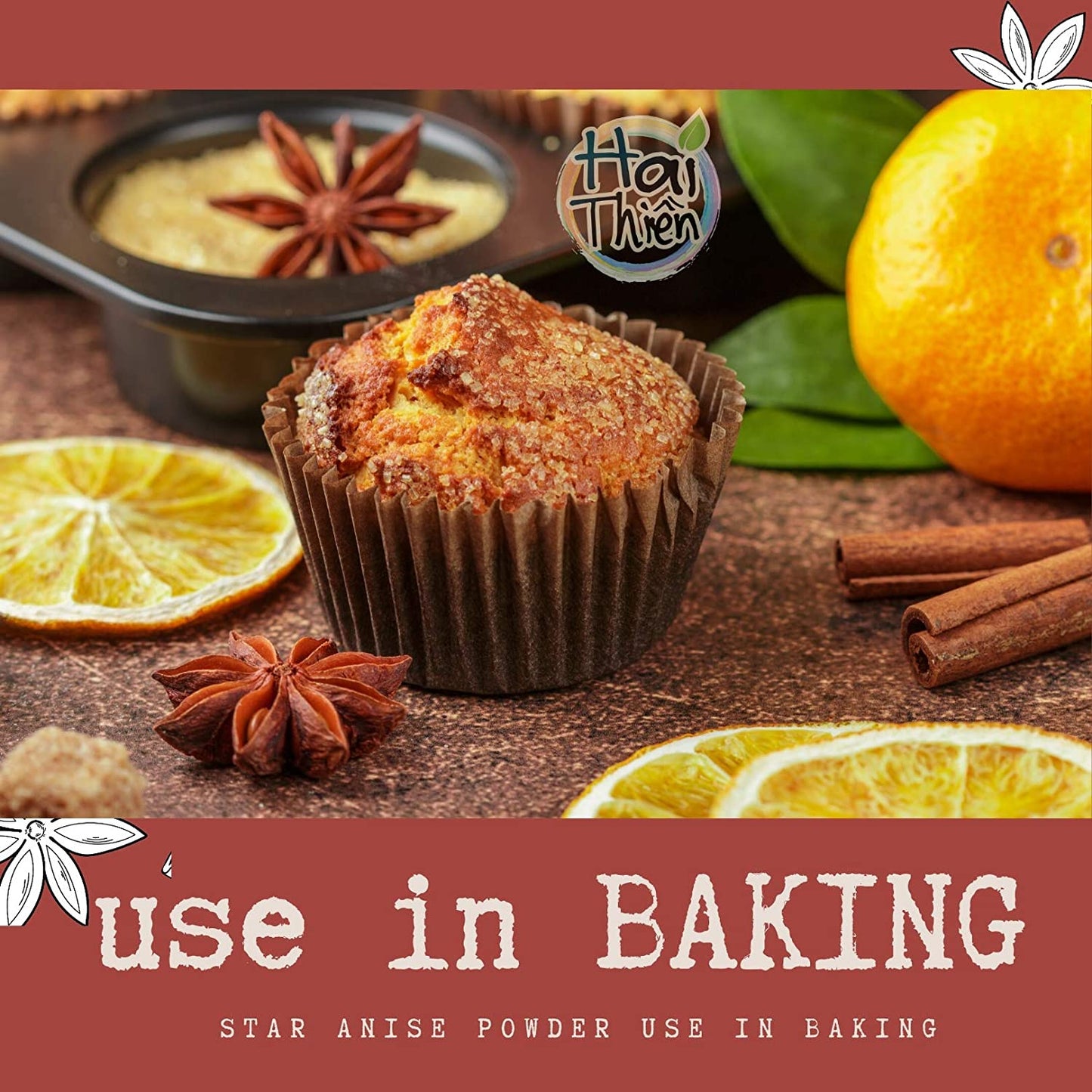 [HT] Hoa Hồi | Star Anise