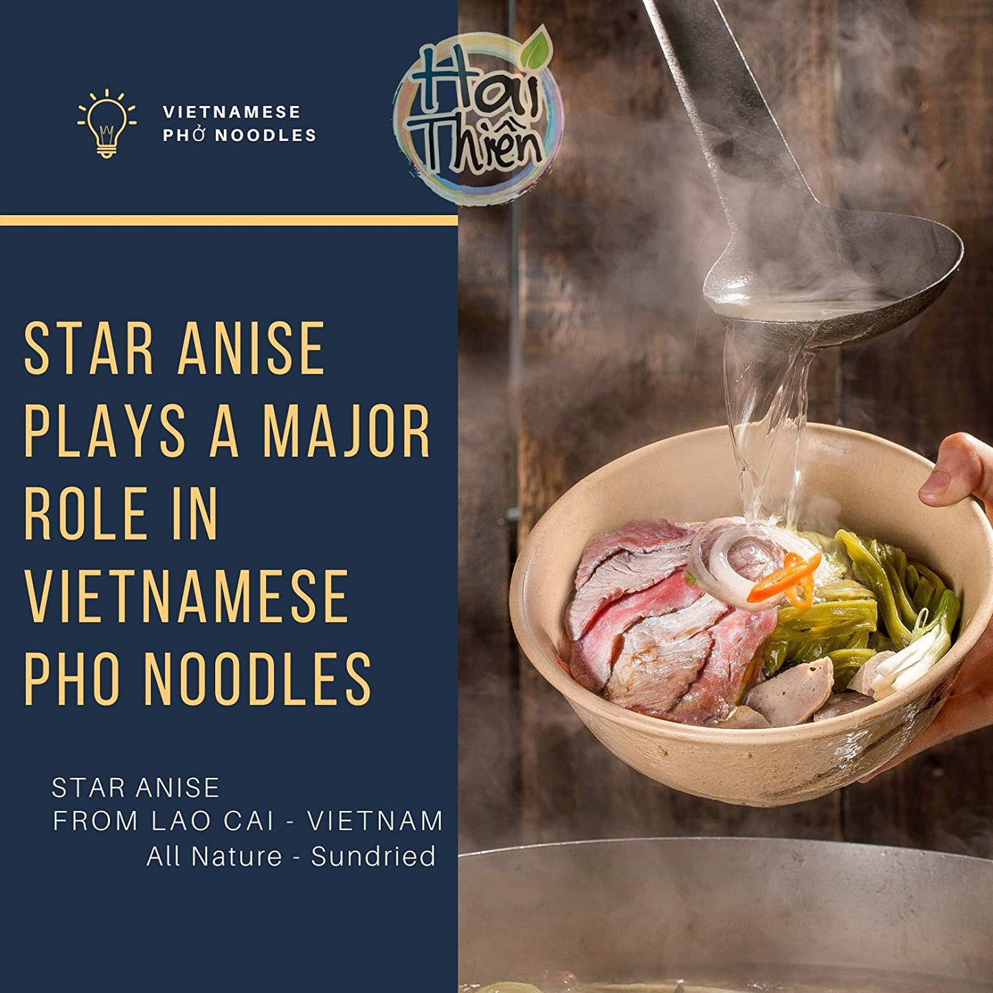 [HT] Hoa Hồi | Star Anise