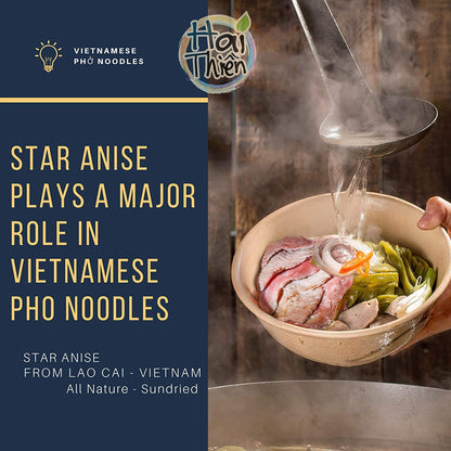 [HT] Hoa Hồi | Star Anise