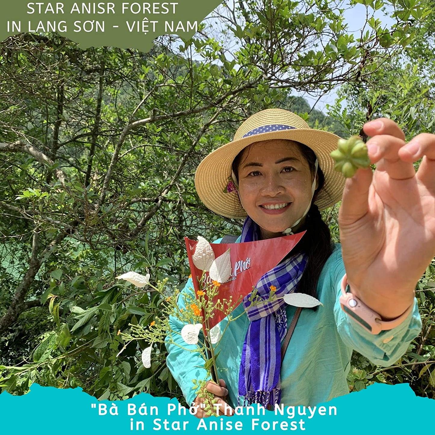 [HT] Hoa Hồi | Star Anise