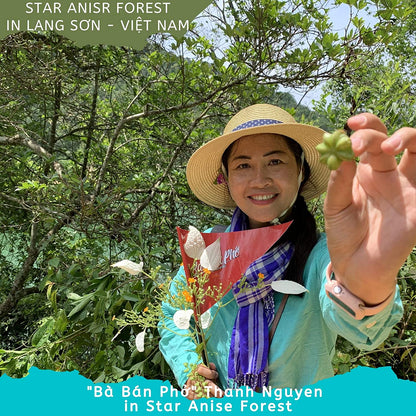 [HT] Hoa Hồi | Star Anise